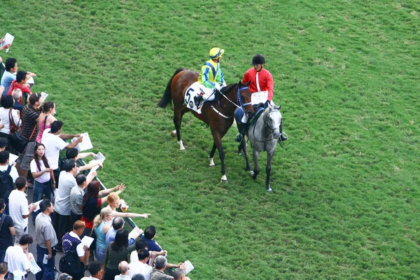 Oktober 2008 Hästkapplöpningen Populär Sport — Stockfoto