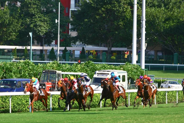 Jocking Horse Racing Sport Shatin Χονγκ Κονγκ Οκτ 2008 — Φωτογραφία Αρχείου