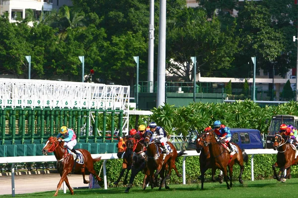 Jocking Horse Racing Sport Shatin Hong Kong Oct 2008 — стокове фото