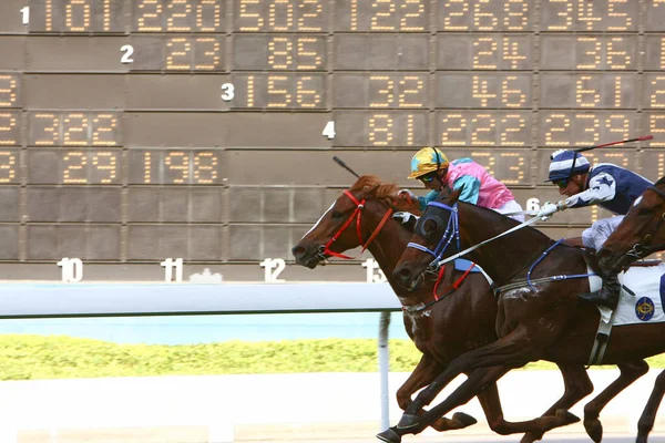 Horse Racing Hong Kong Jockey Club Oct 2008 — Foto de Stock