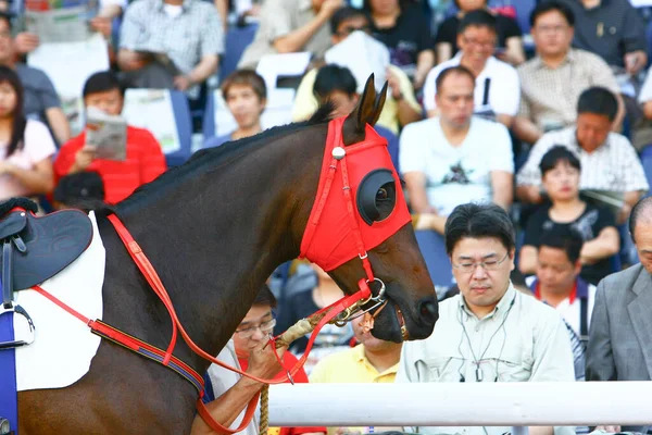 Out 2008 Corrida Mais Importante Para Jockeys Proprietários Todo Mundo — Fotografia de Stock