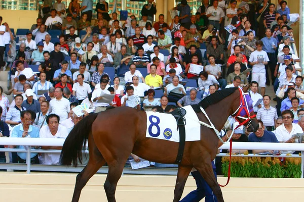 Okt 2008 Das Wichtigste Rennen Für Jockeys Und Besitzer Aus — Stockfoto