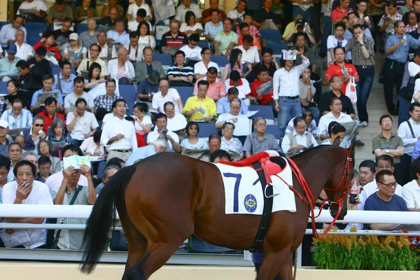 Okt 2008 Das Wichtigste Rennen Für Jockeys Und Besitzer Aus — Stockfoto