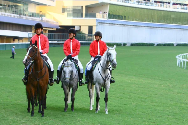 Oct 2008 Las Carreras Caballos Deporte Popular — Foto de Stock