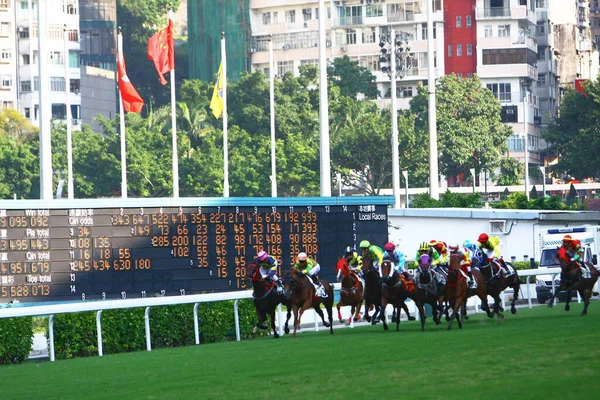 Das Pferderennen Hong Kong Jockey Club Oktober 2008 — Stockfoto