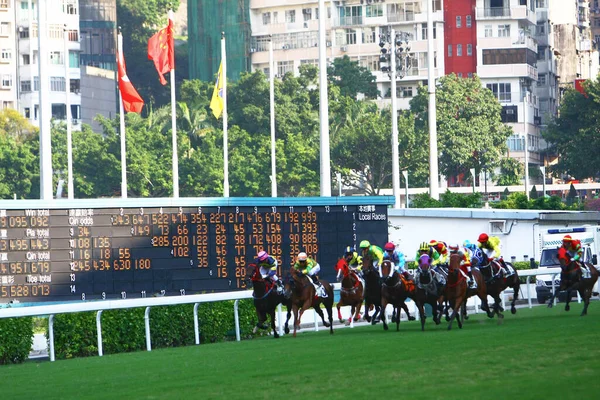 Corse Cavalli All Hong Kong Jockey Club Ott 2008 — Foto Stock