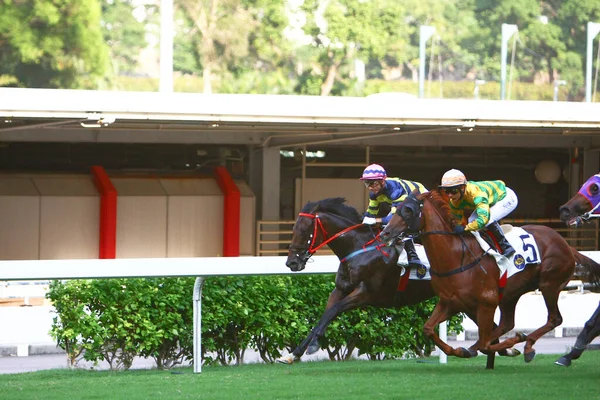 Horse Racing Hong Kong Jockey Club Oct 2008 — Foto de Stock