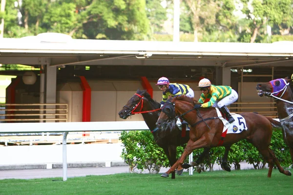 Corrida Cavalos Hong Kong Jockey Club Outubro 2008 — Fotografia de Stock