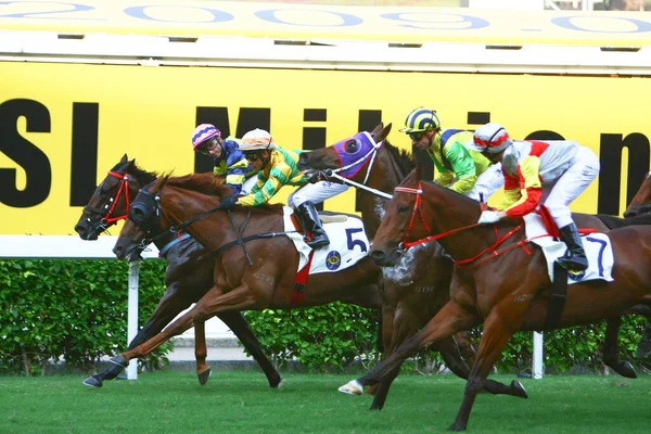 Horse Racing Hong Kong Jockey Club Oct 2008 — Foto de Stock