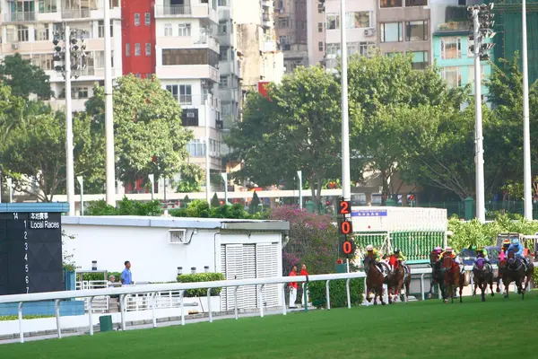 Paardenraces Bij Hong Kong Jockey Club Okt 2008 — Stockfoto