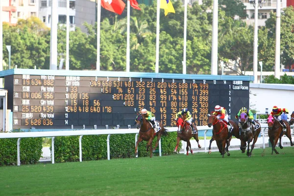 Hesteveddeløp Hong Kong Jockey Club Besøkt Oktober 2008 – stockfoto