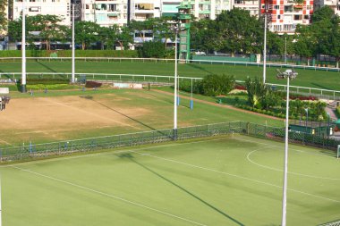 Hong Kong jokey kulübünün Shatian yarış sahasında 19 Ekim 2008