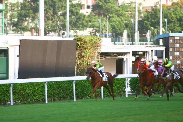 Horse Racing Hong Kong Jockey Club Oct 2008 — Stockfoto