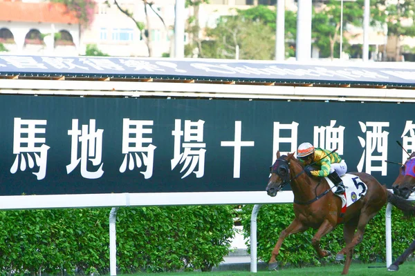 Corse Cavalli All Hong Kong Jockey Club Ott 2008 — Foto Stock