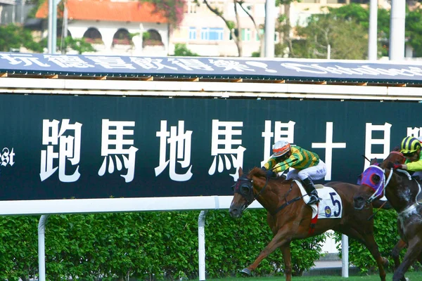 Corse Cavalli All Hong Kong Jockey Club Ott 2008 — Foto Stock