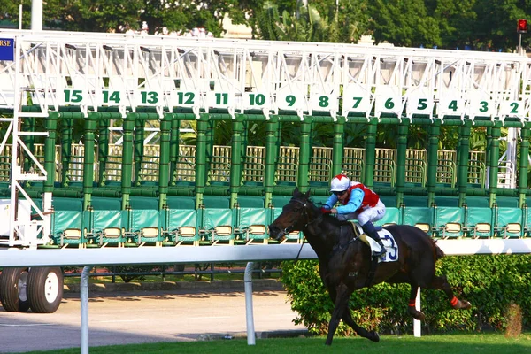 Corse Cavalli All Hong Kong Jockey Club Ott 2008 — Foto Stock