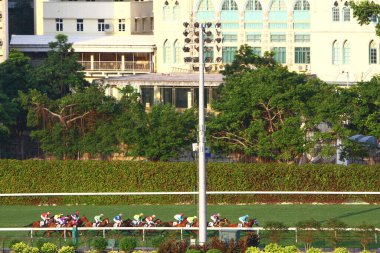 19 Ekim 2008 At yarışı HK 'de popüler bir spordur. HK 'deki Happy Valley yerleşim bölgesi.