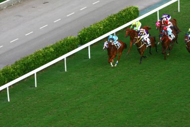 19 Ekim 2008 At yarışı HK 'de popüler bir spordur. HK 'deki Happy Valley yerleşim bölgesi.