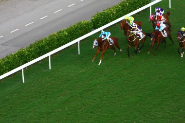 19 Ekim 2008 At yarışı HK 'de popüler bir spordur. HK 'deki Happy Valley yerleşim bölgesi.