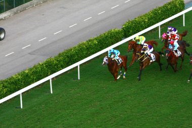 19 Ekim 2008 At yarışı HK 'de popüler bir spordur. HK 'deki Happy Valley yerleşim bölgesi.