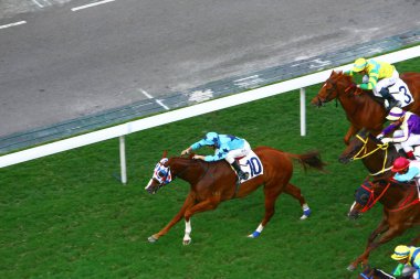 19 Ekim 2008 At yarışı HK 'de popüler bir spordur. HK 'deki Happy Valley yerleşim bölgesi.