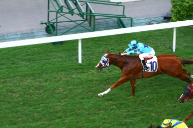 19 Ekim 2008 At yarışı HK 'de popüler bir spordur. HK 'deki Happy Valley yerleşim bölgesi.