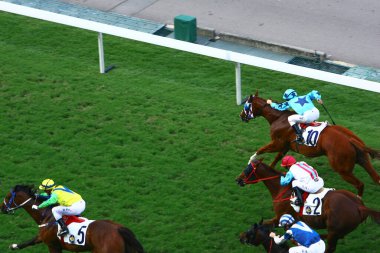 19 Ekim 2008 At yarışı HK 'de popüler bir spordur. HK 'deki Happy Valley yerleşim bölgesi.