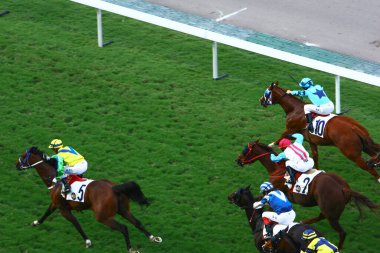 19 Ekim 2008 At yarışı HK 'de popüler bir spordur. HK 'deki Happy Valley yerleşim bölgesi.