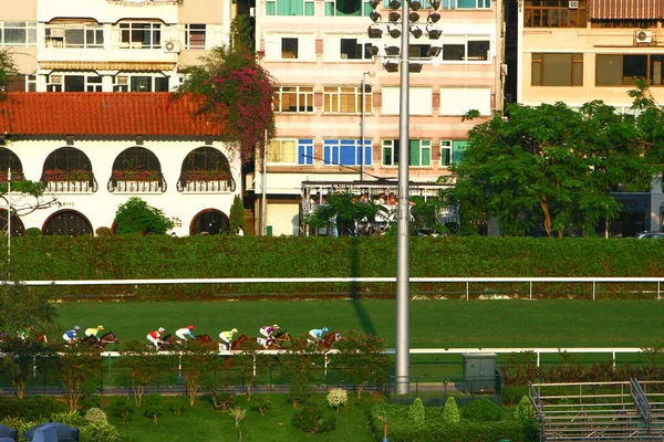 Okt 2008 Lóverseny Egy Népszerű Sport Happy Valley Lakónegyedében — Stock Fotó