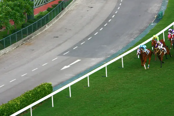 Říj 2008 Koňské Dostihy Populární Sport Happy Valley Rezidenční Čtvrti — Stock fotografie