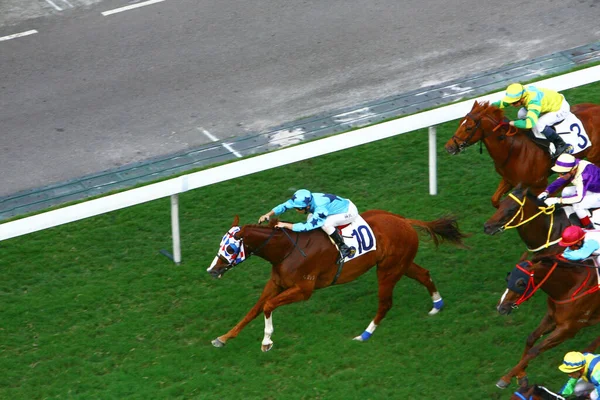 Okt 2008 Paardenrennen Een Populaire Sport Bij Happy Valley Woonwijk — Stockfoto