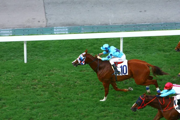 Out 2008 Corrida Cavalos Esporte Popular Happy Valley Bairro Residencial — Fotografia de Stock