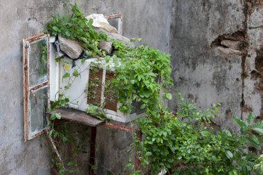 Hk 'deki eski Lei Yue Mun taş ocağı. Taşra, ekoloji. 23 Nisan 2008