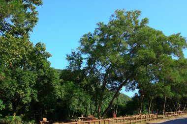 Ada rezervuarı, Sai Kung, Hong Kong. 16 Kasım 2008