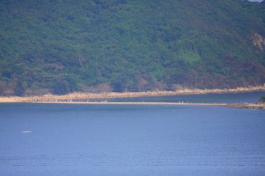 28 Eylül 2008 Sai kung hong kong kıyı manzarası 