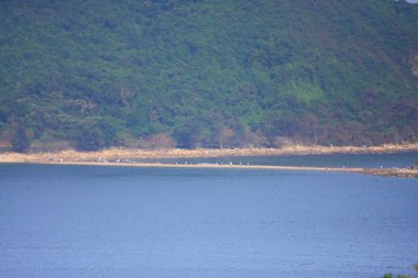 28 Eylül 2008 Sai kung hong kong kıyı manzarası 