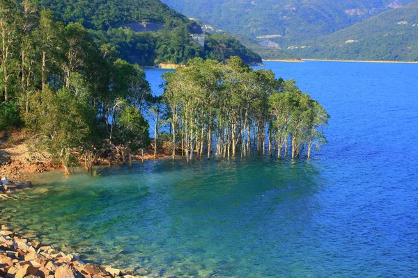 Island Reservoir Sai Kung Hong Kong Nov 2008 — Foto Stock