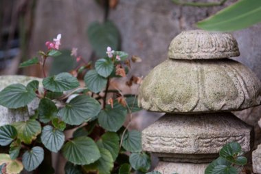 Zen tasarımı boş ahşap ve bahçede yeşil yaprak 7 Şubat 2008 