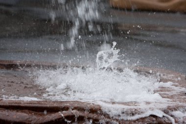 7 Şubat 2008 'de bahar havuzundaki dağlar sular.