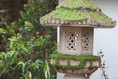 21 Mart 2008 Victoria Park 'taki Çiçek Şovu. Hong Kong.