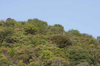 24 Mart 2008 'de bir ejderha geri döndü, muhteşem bir açık hava eğlence merkezi.