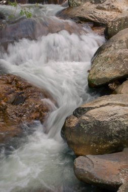 Küçük Hawaii patikasında güzel bir şelale, Tseung Kwan O, 9 Haziran 2008