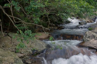 Küçük Hawaii patikasında güzel bir şelale, Tseung Kwan O, 9 Haziran 2008