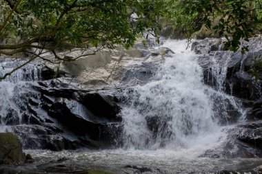 Küçük Hawaii patikasında güzel bir şelale, Tseung Kwan O, 9 Haziran 2008