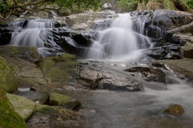 Küçük Hawaii patikasında güzel bir şelale, Tseung Kwan O, 9 Haziran 2008