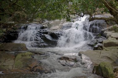 Küçük Hawaii patikasında güzel bir şelale, Tseung Kwan O, 9 Haziran 2008