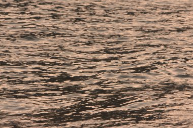 Güneş ışığı ve bulanık plaj günbatımı dokusu. 12 Mayıs 2008