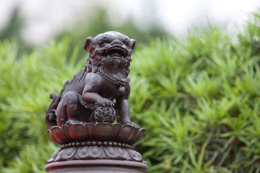 Nan Lian Garden, Kowloon, Hong Kong 31 Mayıs 2008