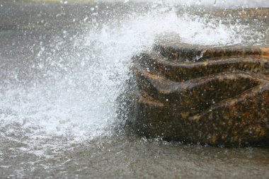  7 Eylül 2008 'de doğanın arka bahçesindeki bahar havuzu.