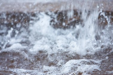  7 Eylül 2008 'de doğanın arka bahçesindeki bahar havuzu.